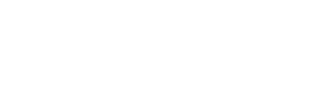 ict services white